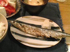 秋刀魚マナー２